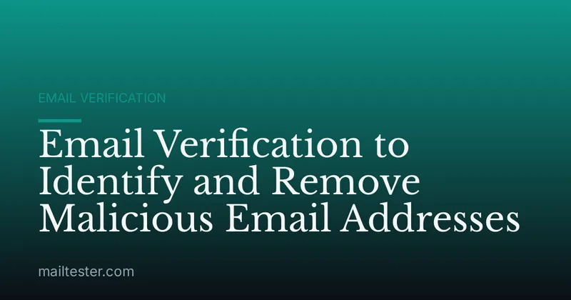 Email Verification to Identify and Remove Malicious Email Addresses