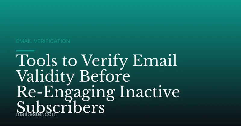 Tools to Verify Email Validity Before Re-Engaging Inactive Subscribers