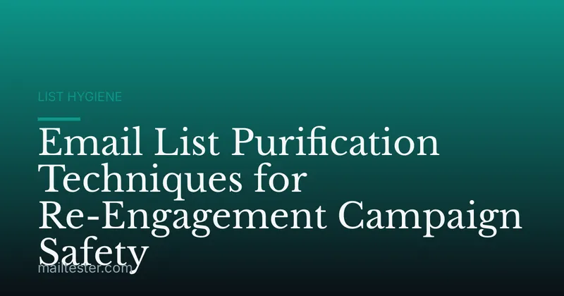 Email List Purification Techniques for Re-Engagement Campaign Safety