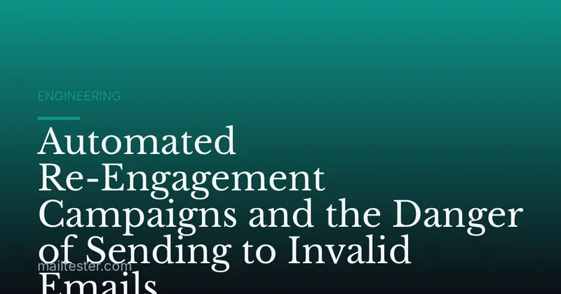 Automated Re-Engagement Campaigns and the Danger of Sending to Invalid Emails