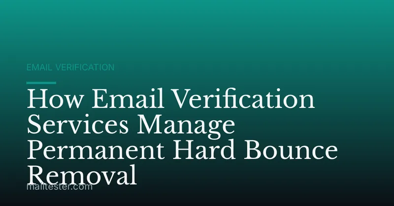 How Email Verification Services Manage Permanent Hard Bounce Removal