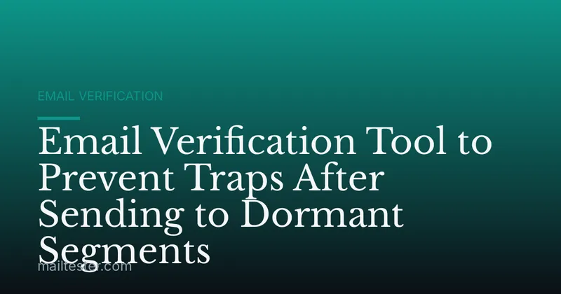 Email Verification Tool to Prevent Traps After Sending to Dormant Segments