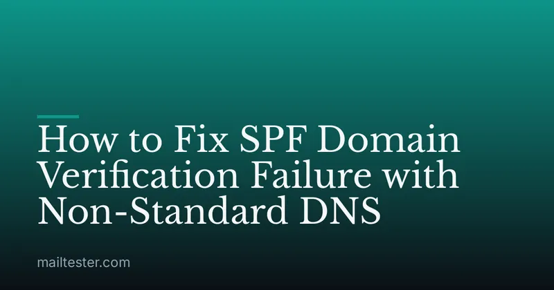 How to Fix SPF Domain Verification Failure with Non-Standard DNS