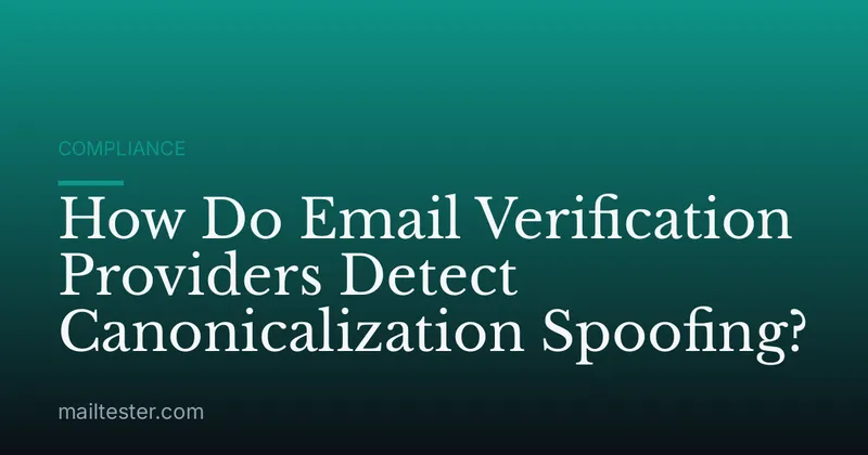 How Do Email Verification Providers Detect Canonicalization Spoofing?