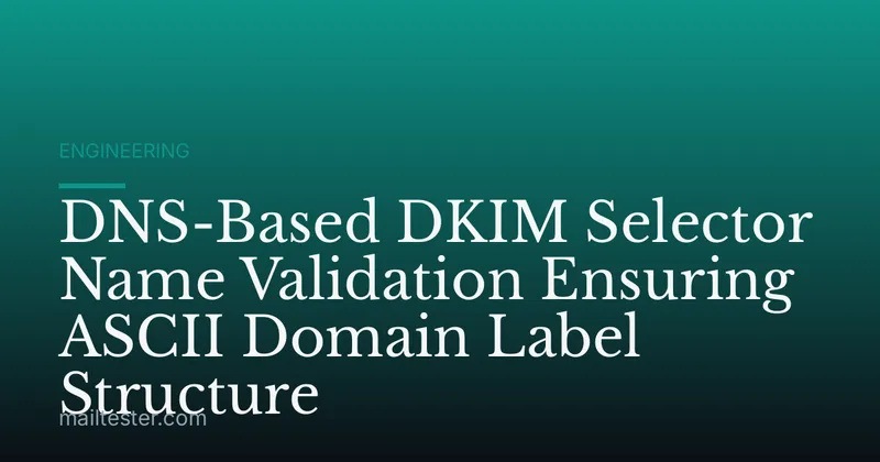 DNS-Based DKIM Selector Name Validation Ensuring ASCII Domain Label Structure