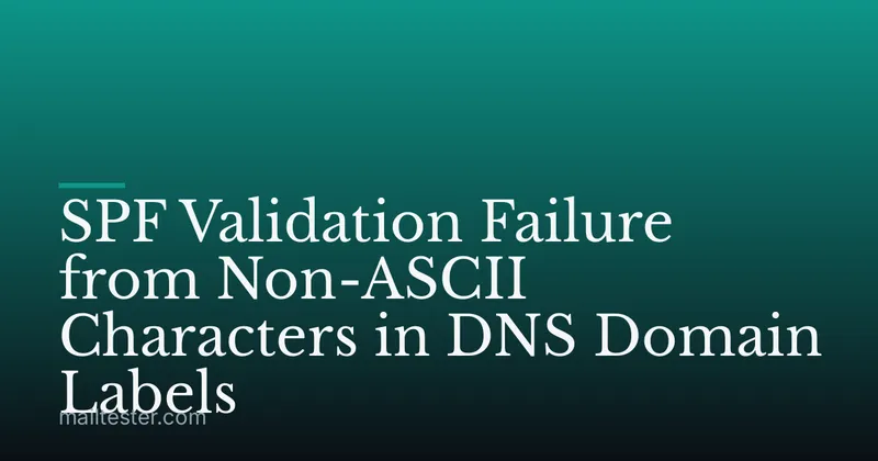 SPF Validation Failure from Non-ASCII Characters in DNS Domain Labels