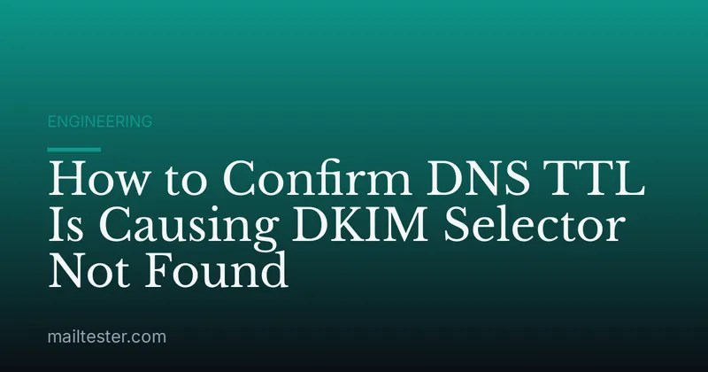 How to Confirm DNS TTL Is Causing DKIM Selector Not Found