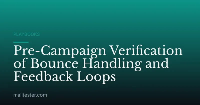 Pre-Campaign Verification of Bounce Handling and Feedback Loops