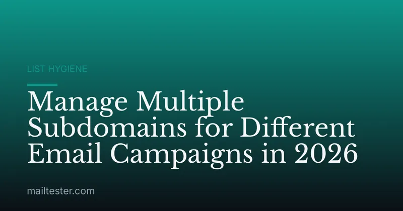 Manage Multiple Subdomains for Different Email Campaigns in 2026