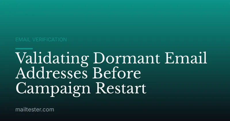 Validating Dormant Email Addresses Before Campaign Restart
