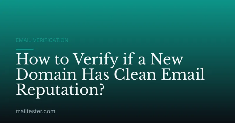 How to Verify if a New Domain Has Clean Email Reputation?