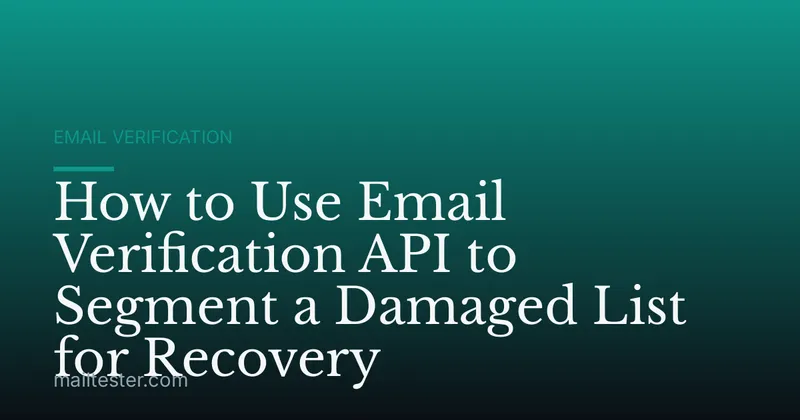 How to Use Email Verification API to Segment a Damaged List for Recovery