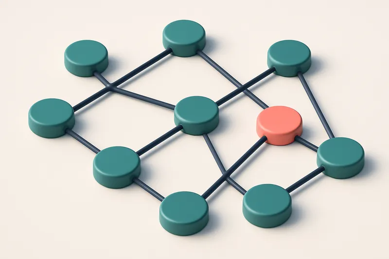 a network of small circular nodes connected by lines, each labeled with a different resolver IP