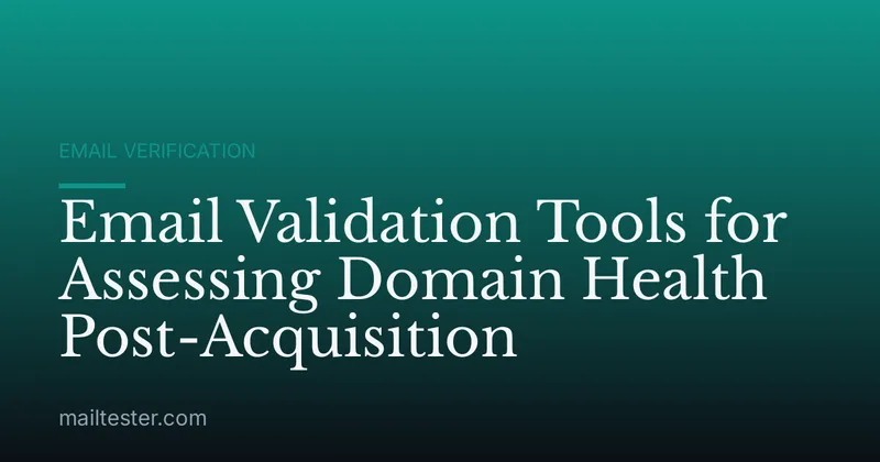 Email Validation Tools for Assessing Domain Health Post-Acquisition