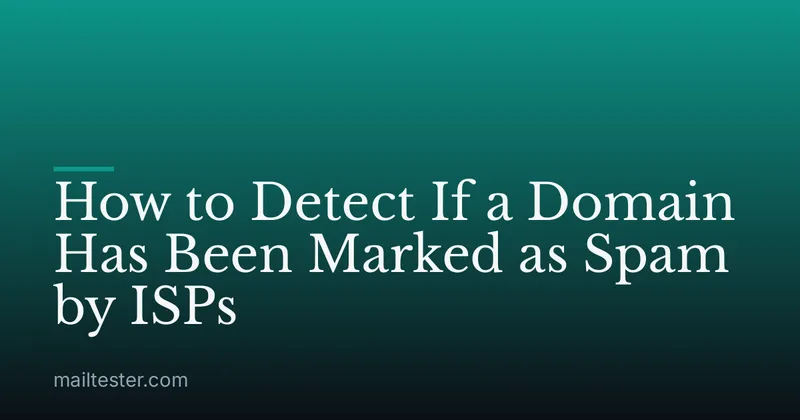 How to Detect If a Domain Has Been Marked as Spam by ISPs