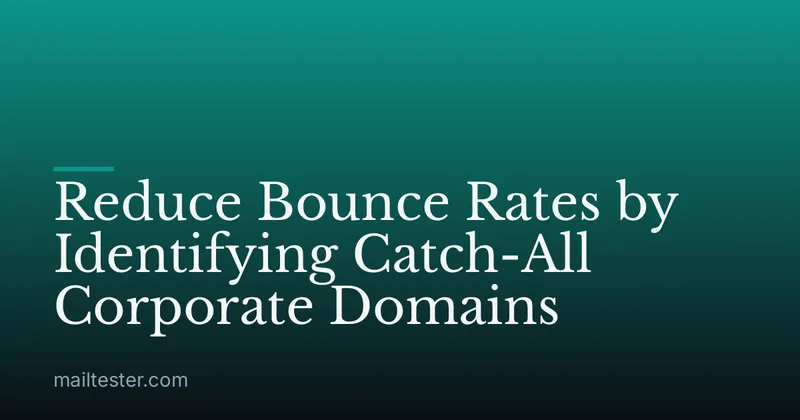 Reduce Bounce Rates by Identifying Catch-All Corporate Domains