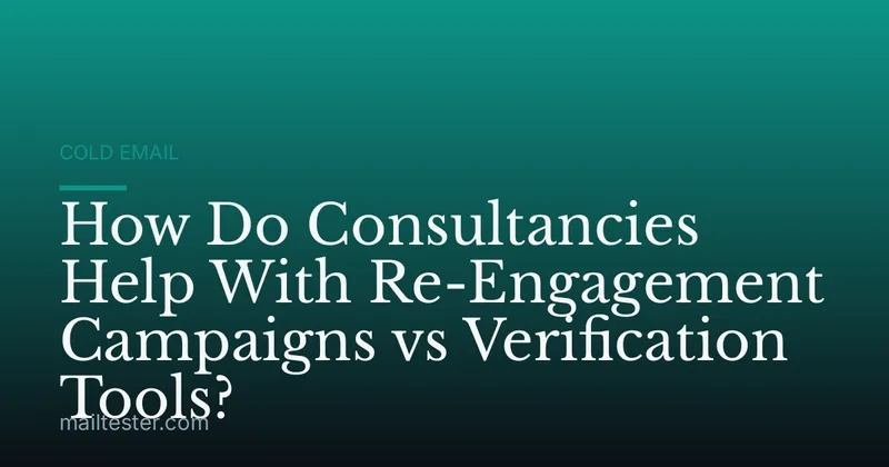 How Do Consultancies Help With Re-Engagement Campaigns vs Verification Tools?