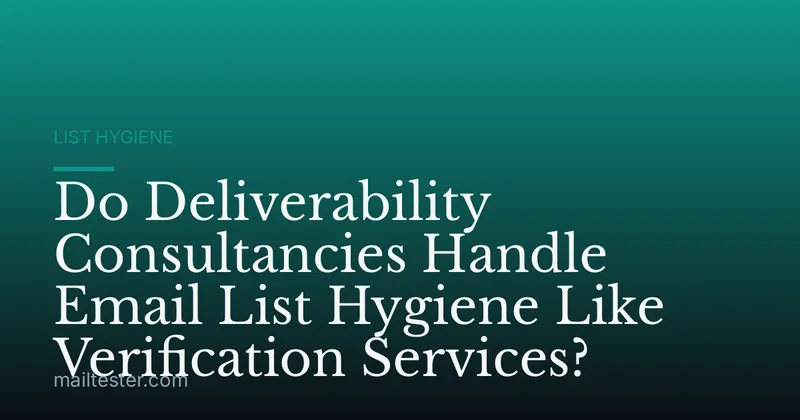 Do Deliverability Consultancies Handle Email List Hygiene Like Verification Services?