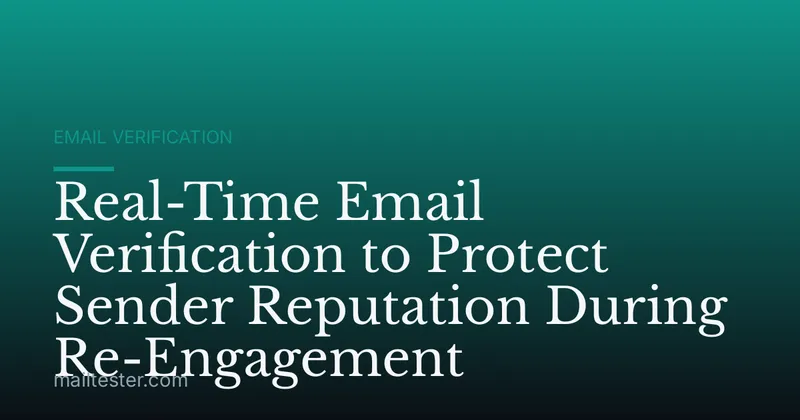 Real-Time Email Verification to Protect Sender Reputation During Re-Engagement