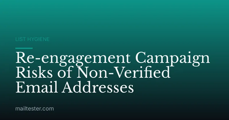 Re-engagement Campaign Risks of Non-Verified Email Addresses