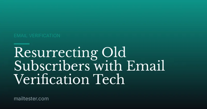 Resurrecting Old Subscribers with Email Verification Tech