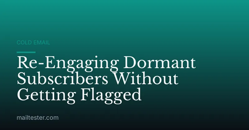 Re-Engaging Dormant Subscribers Without Getting Flagged