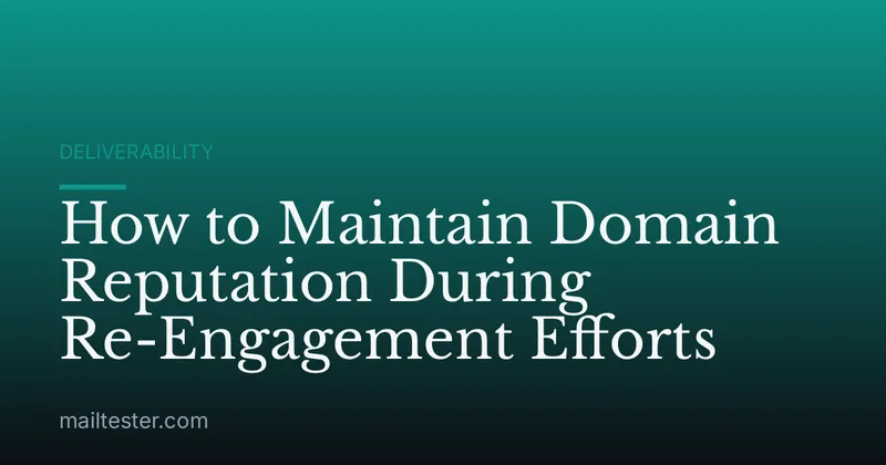 How to Maintain Domain Reputation During Re-Engagement Efforts
