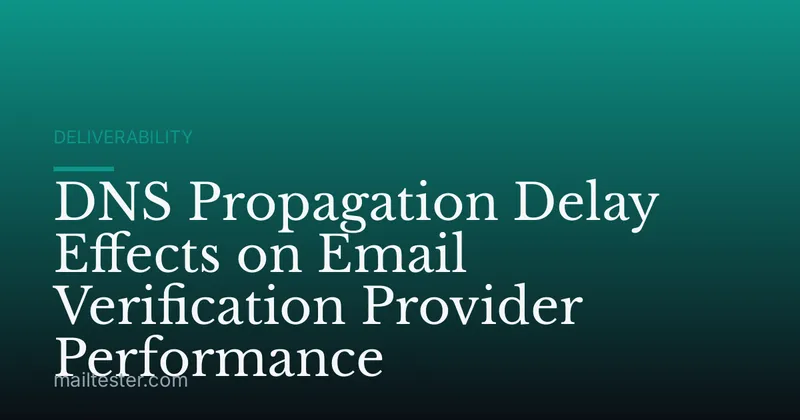 DNS Propagation Delay Effects on Email Verification Provider Performance
