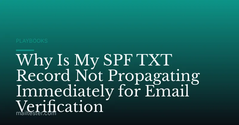 Why Is My SPF TXT Record Not Propagating Immediately for Email Verification