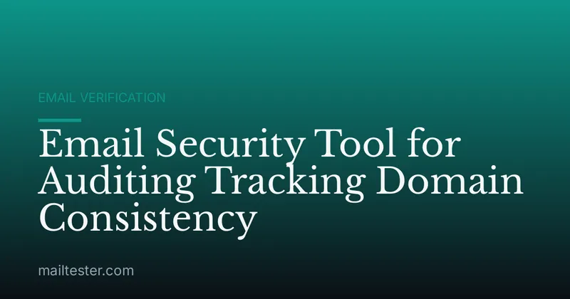 Email Security Tool for Auditing Tracking Domain Consistency