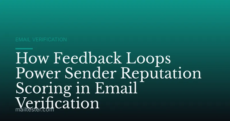 How Feedback Loops Power Sender Reputation Scoring in Email Verification