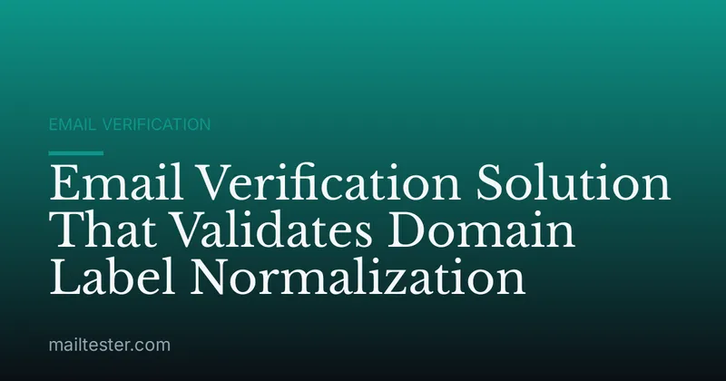 Email Verification Solution That Validates Domain Label Normalization