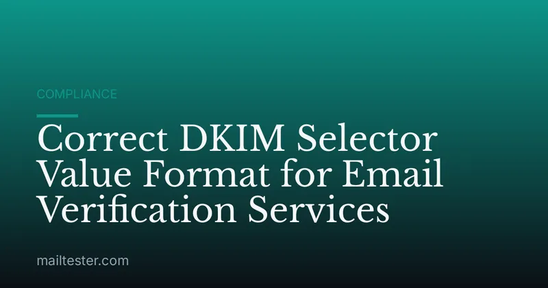 Correct DKIM Selector Value Format for Email Verification Services