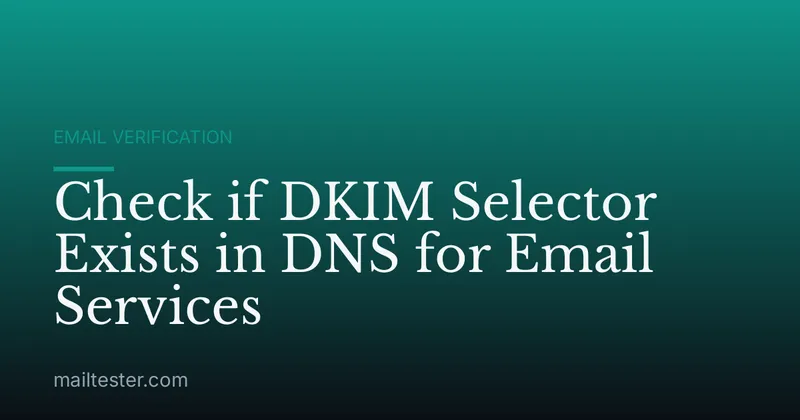 Check if DKIM Selector Exists in DNS for Email Services