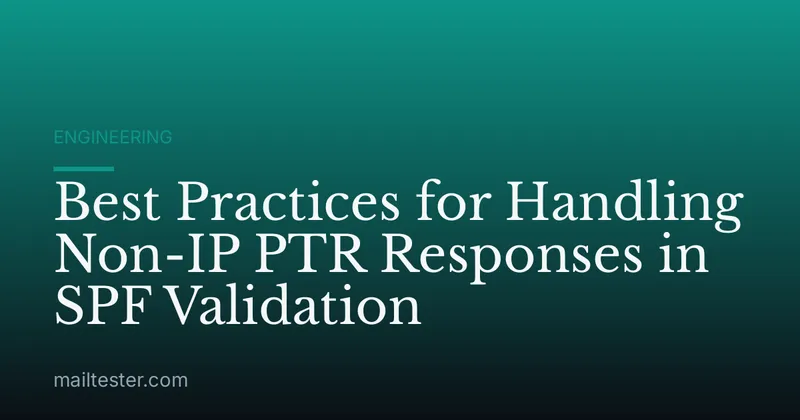 Best Practices for Handling Non-IP PTR Responses in SPF Validation