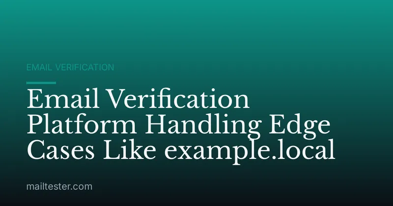Email Verification Platform Handling Edge Cases Like example.local