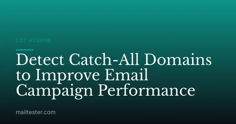 Detect Catch-All Domains to Improve Email Campaign Performance