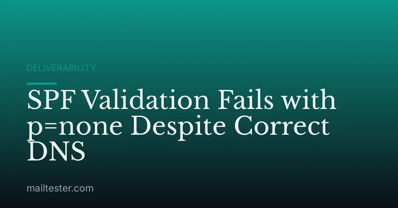 SPF Validation Fails with p=none Despite Correct DNS