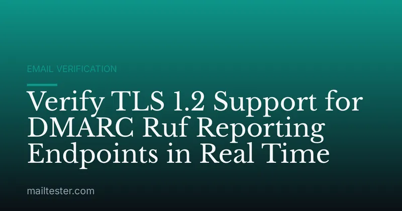Verify TLS 1.2 Support for DMARC Ruf Reporting Endpoints in Real Time
