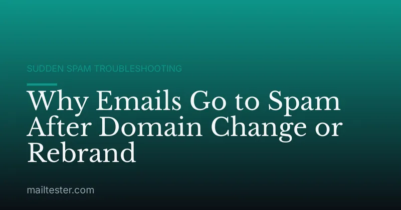 Why Emails Go to Spam After Domain Change or Rebrand
